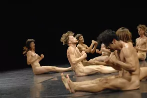 Provocation and Nudity or 4+4 Days in Motion Festival