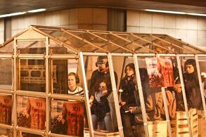 Twelve Years of Farm in the Cave