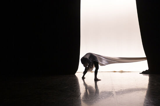 Triptych: Genesis, Metamorphosis, 6’7. Photo: Andrea Jircová.