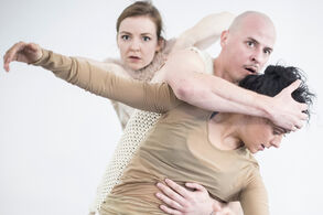 Riders – pohled na lidské konání očima ptáků