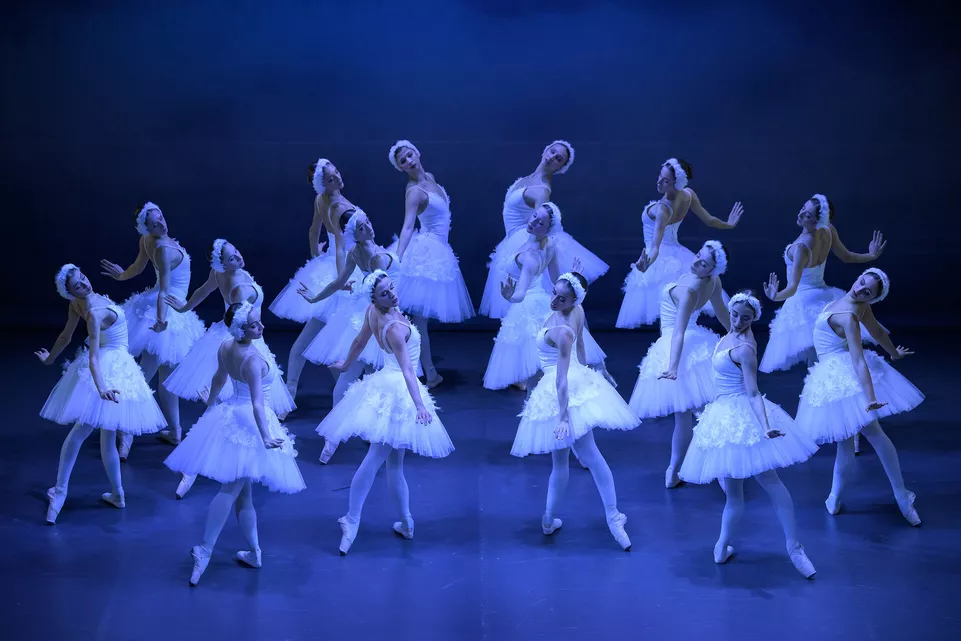 Swan Lake, choreographed by Yuri Vámos. The Moravian-Silesian National Theater Ballet. Photo: Sergei Gherciu.