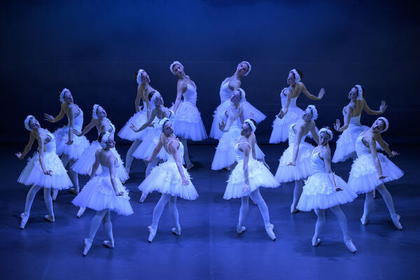 Swan Lake, choreographed by Yuri Vámos. The Moravian-Silesian National Theater Ballet. Photo: Sergei Gherciu.