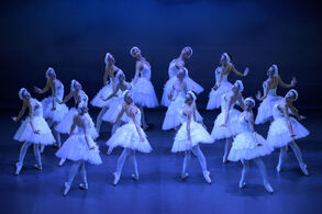 Swan Lake, choreographed by Yuri Vámos. The Moravian-Silesian National Theater Ballet. Photo: Sergei Gherciu.