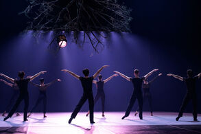 PURE JOY. Photo: Serghei Gherciu.