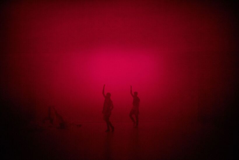 Terra Incognita, chor. Dunja Jocic. Foto: Private archive PB.
