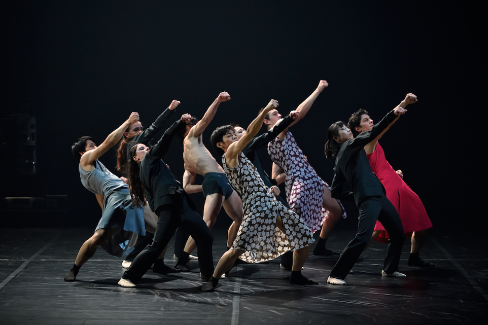 Rain Dogs. Photo: Martin Popelář.