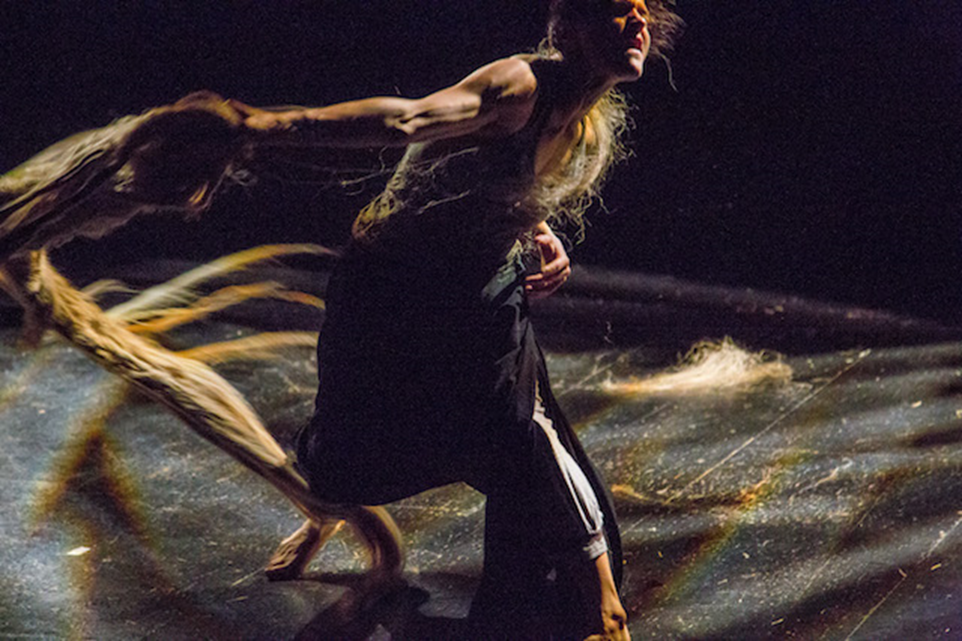 La Boba. Photo: David Musil.