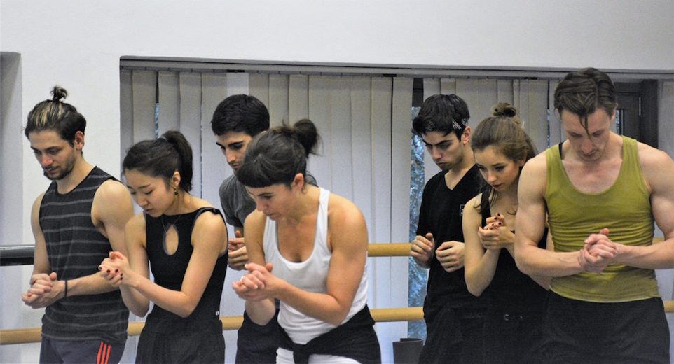 Rain Dogs. Photo: Martin Popelář.