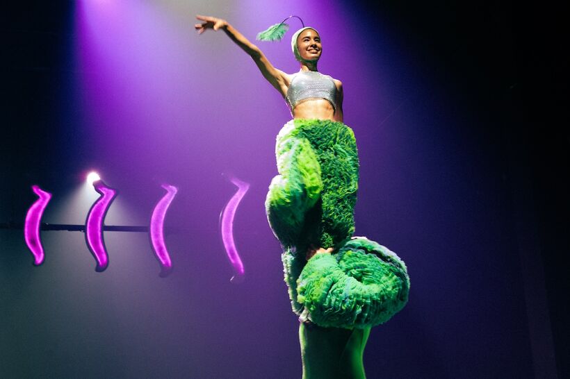 Jeremy Nedd, Joana Tischkau, and Sophie Yukiko: Tropicana.